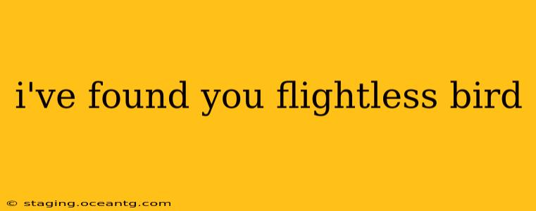 i've found you flightless bird