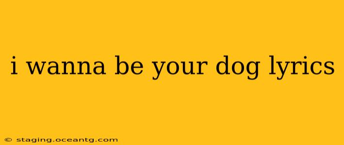 i wanna be your dog lyrics