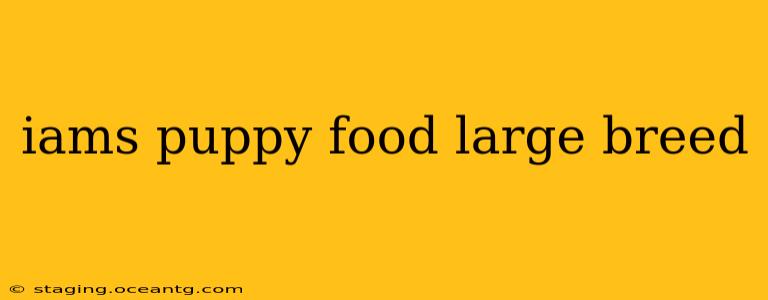 iams puppy food large breed