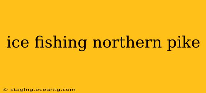 ice fishing northern pike