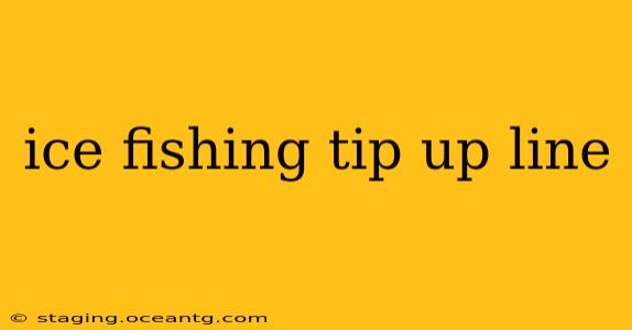 ice fishing tip up line