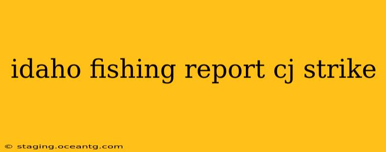 idaho fishing report cj strike