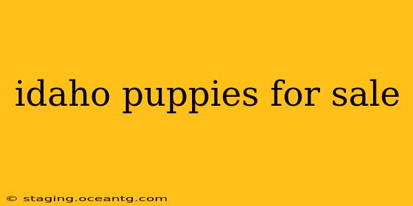 idaho puppies for sale