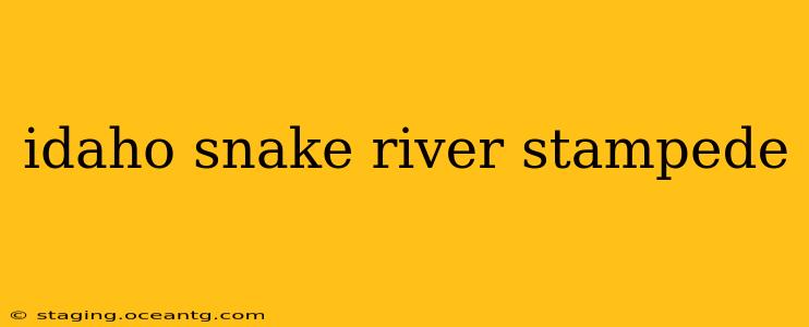 idaho snake river stampede