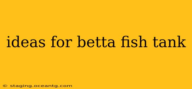 ideas for betta fish tank