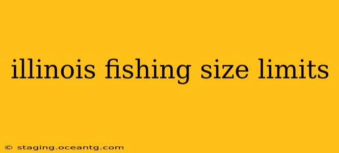 illinois fishing size limits