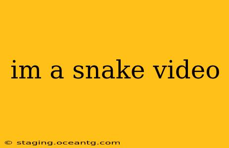 im a snake video