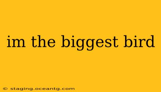 im the biggest bird