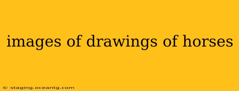 images of drawings of horses