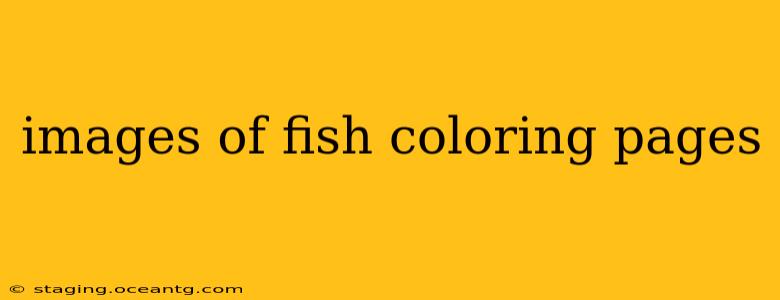images of fish coloring pages