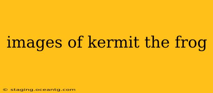 images of kermit the frog