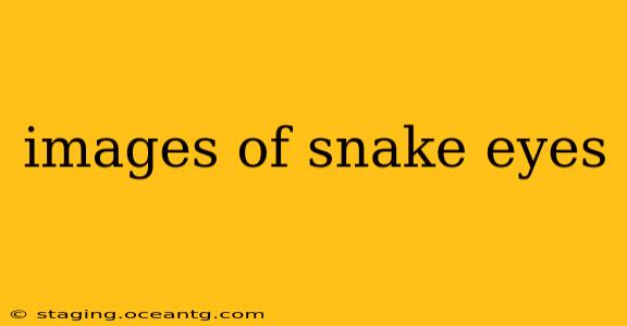 images of snake eyes