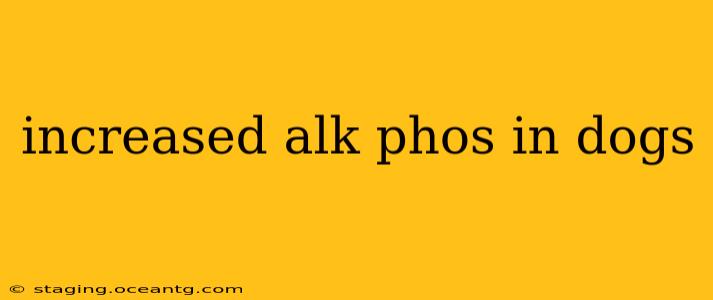 increased alk phos in dogs