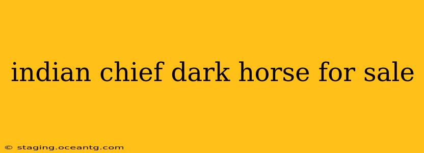 indian chief dark horse for sale