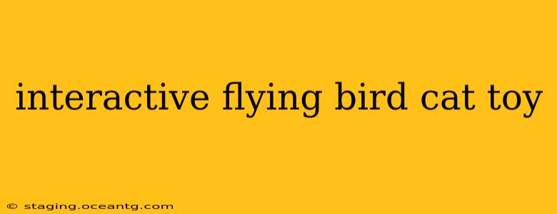 interactive flying bird cat toy