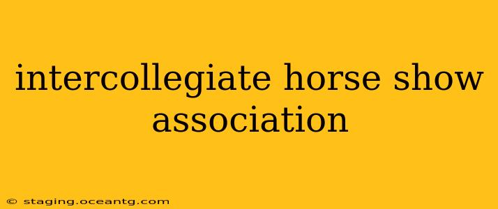 intercollegiate horse show association