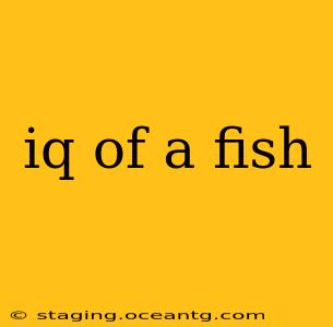 iq of a fish