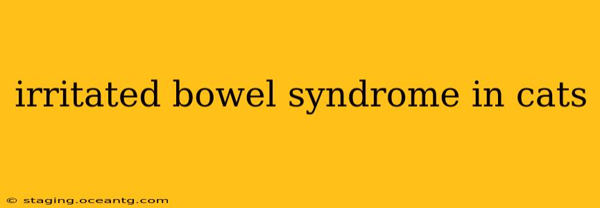 irritated bowel syndrome in cats