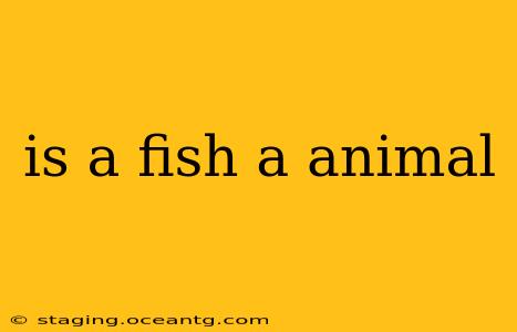 is a fish a animal