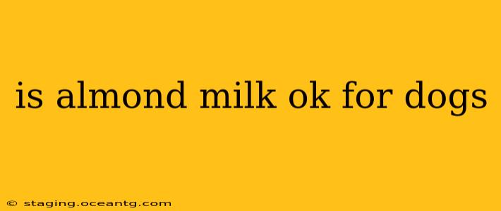 is almond milk ok for dogs
