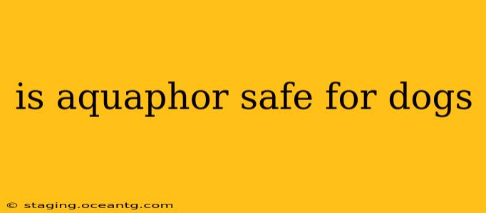 is aquaphor safe for dogs