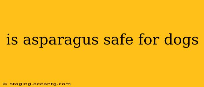 is asparagus safe for dogs