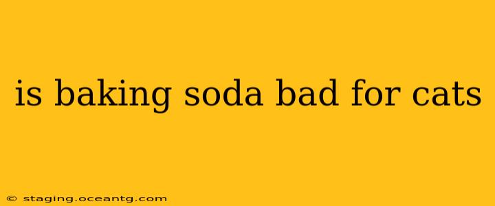 is baking soda bad for cats