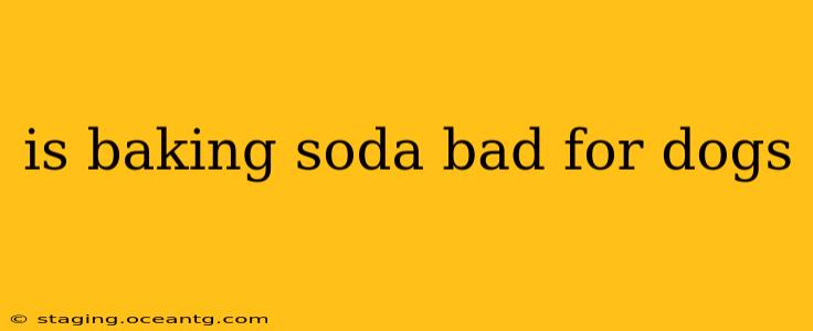 is baking soda bad for dogs