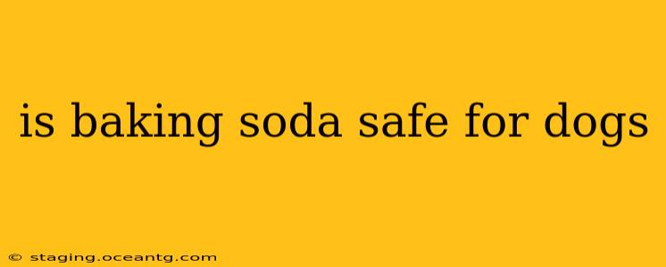 is baking soda safe for dogs