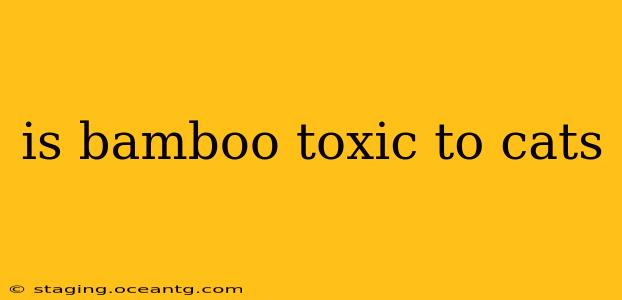 is bamboo toxic to cats