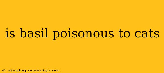 is basil poisonous to cats