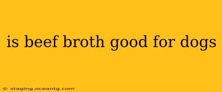 is beef broth good for dogs