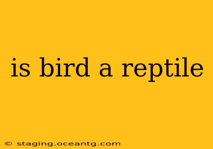 is bird a reptile