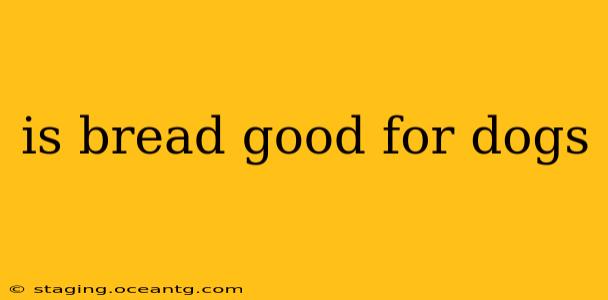 is bread good for dogs