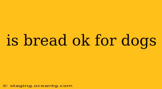 is bread ok for dogs
