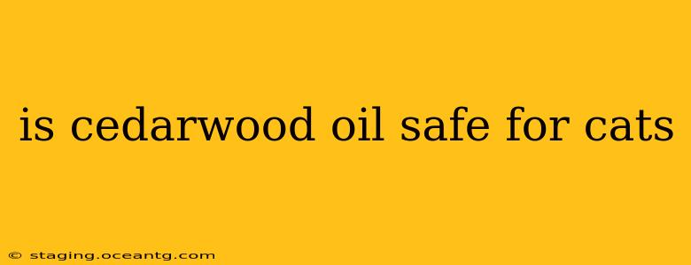 is cedarwood oil safe for cats