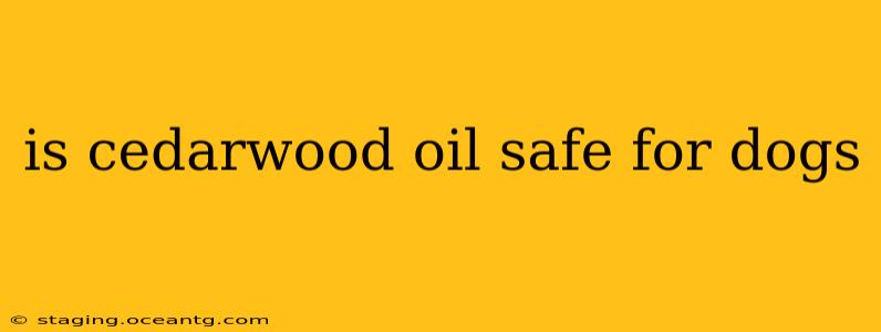 is cedarwood oil safe for dogs