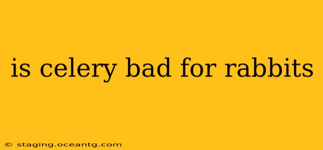 is celery bad for rabbits