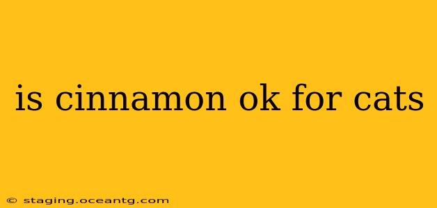 is cinnamon ok for cats