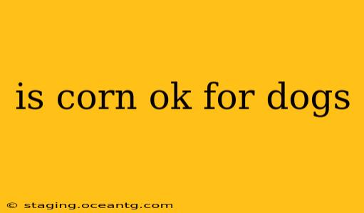 is corn ok for dogs