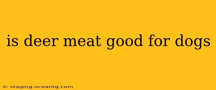 is deer meat good for dogs