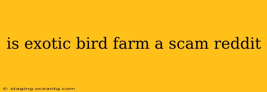 is exotic bird farm a scam reddit