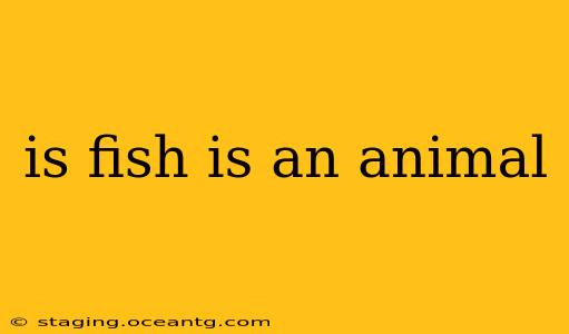 is fish is an animal