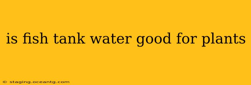 is fish tank water good for plants