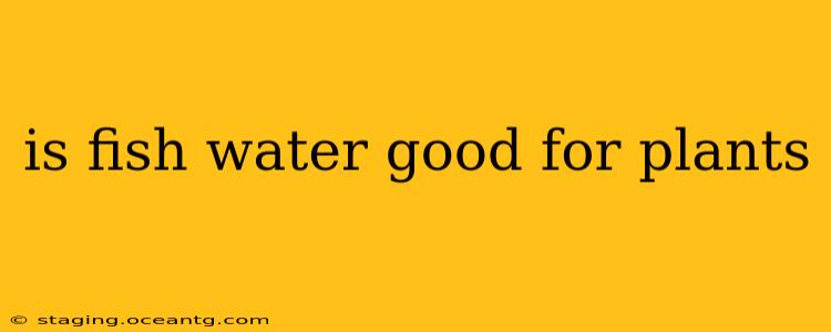 is fish water good for plants