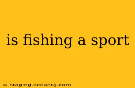 is fishing a sport
