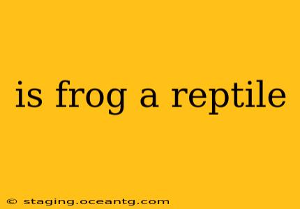 is frog a reptile