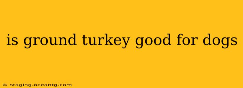 is ground turkey good for dogs