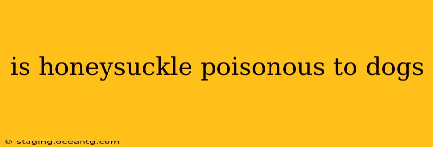 is honeysuckle poisonous to dogs