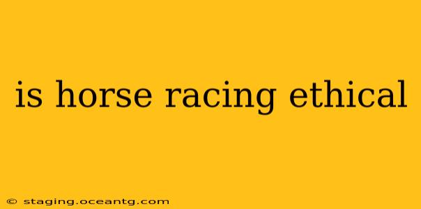 is horse racing ethical